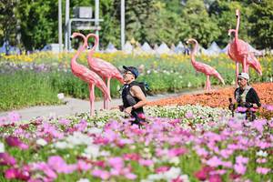 BIB: 
                            <button type="button" onclick="openModal(27807253)" class="btn btn-primary btn-sm float-right btn-popup" data-toggle="modal" data-target=".modal-high-quality">
                        <i class="fas fa-shopping-cart"></i> Add to Cart
                    </button>
                                            <button type="button" onclick="isThisMe(27807253, true)" class="btn btn-success btn-sm float-right btn-popup btn-isme hidden" data-toggle="tooltip" data-placement="bottom" title="นี่คือรูปของคุณใช่ไหม คลิกที่นี่เพื่อเอาเข้าอัลบั้ม">
                        <i class="fas fa-plus"></i> Add to album
                    </button>
                    <button type="button" onclick="isThisMe(27807253, false)" class="btn btn-warning btn-sm float-right btn-popup btn-isnotme hidden">
                        <i class="fas fa-ban"></i> Remove from album
                    </button>